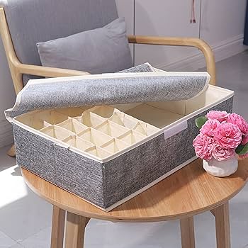 Socks & Under garments Clothing Organizer Container Box.