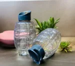 Aqua Lock Water Bottle