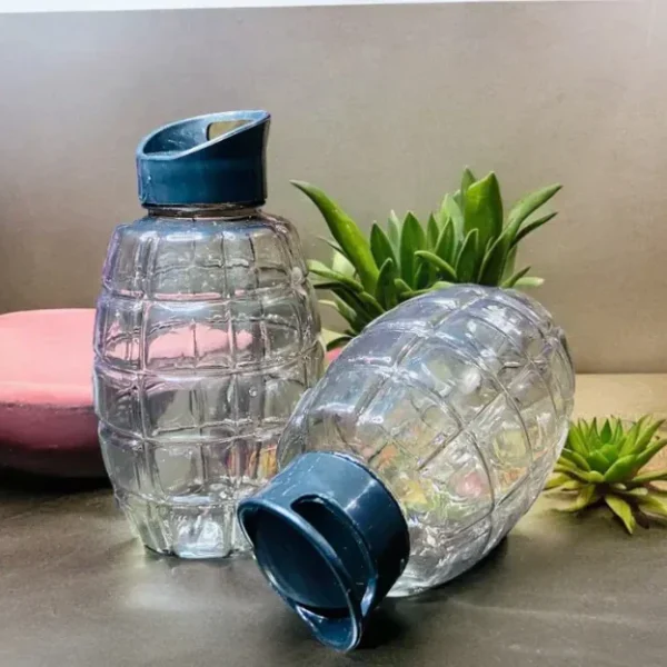 Aqua Lock Water Bottle
