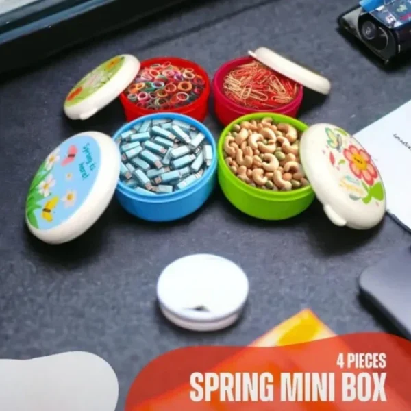 Set of 4 Mini Spring Bowl Storage Boxes