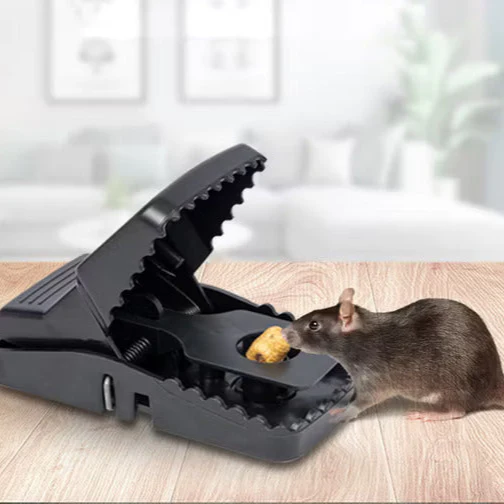 Heavy Duty Plastic Mouse Trap